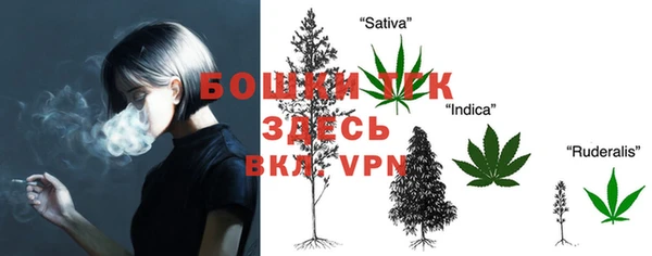 гидра Гусиноозёрск