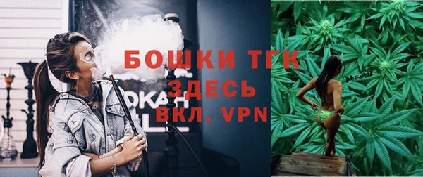 тгк Гусь-Хрустальный