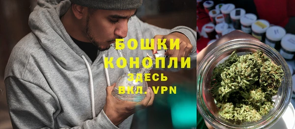 гидра Гусиноозёрск