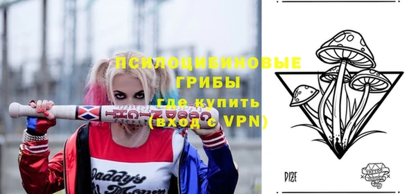 гидра Гусиноозёрск