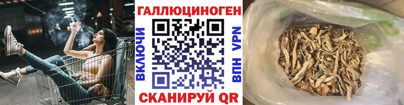 Псилоцибиновые грибы GOLDEN TEACHER как найти закладки Дудинка